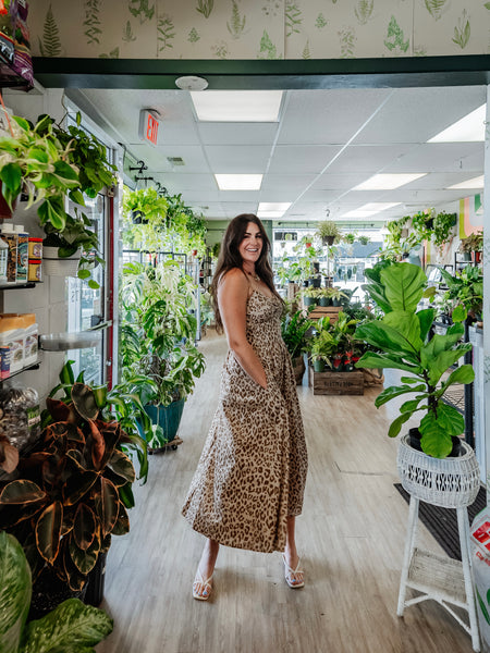 Cheetah Chica Midi in Taupe