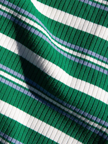 Lisette Dress in Green Audrey Stripe