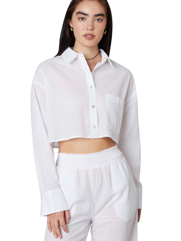 Austin Shirt in White Stripe