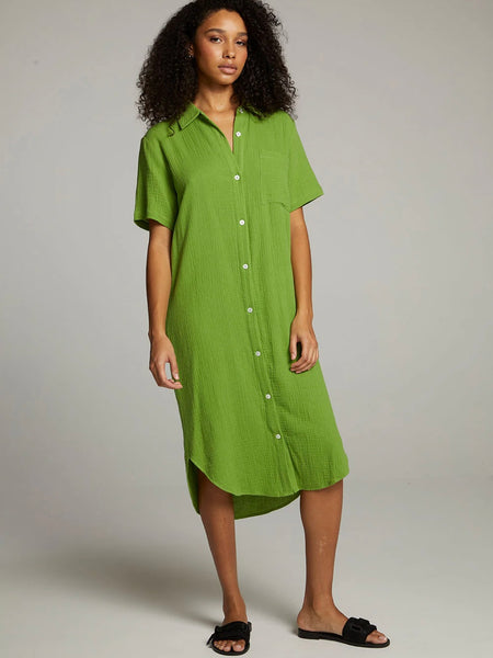 Sebastian Button Down in Piquant Green