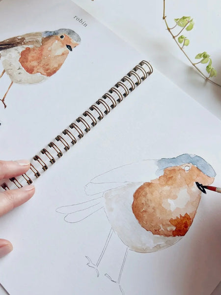 Birds Watercolor Workbook