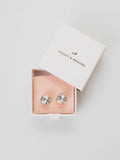 Casey Crystal Boxed Post Earring in Crystal