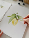 Fruit Watercolor Workbook