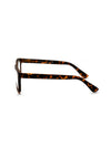Jackson Readers in Tortoise