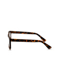 Jackson Readers in Tortoise