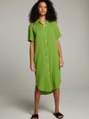 Sebastian Button Down in Piquant Green