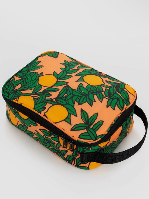 Lunch Box in Orange Tree Coral