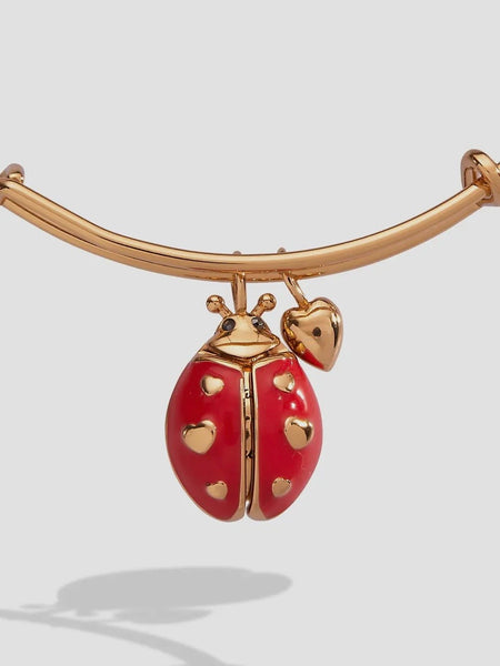 Make Your Own Luck Ladybug Charm Bangle