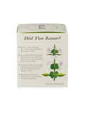 Plant The Box Candle in Fresh Picked Basil