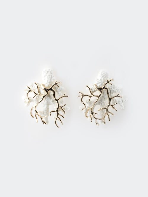 White Coral Earrings