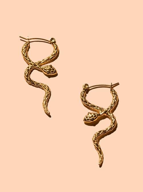 Coil Hoops