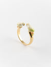 White Budgerigar Face to Face Ring