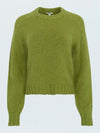 Adina Sweater in Pea Green