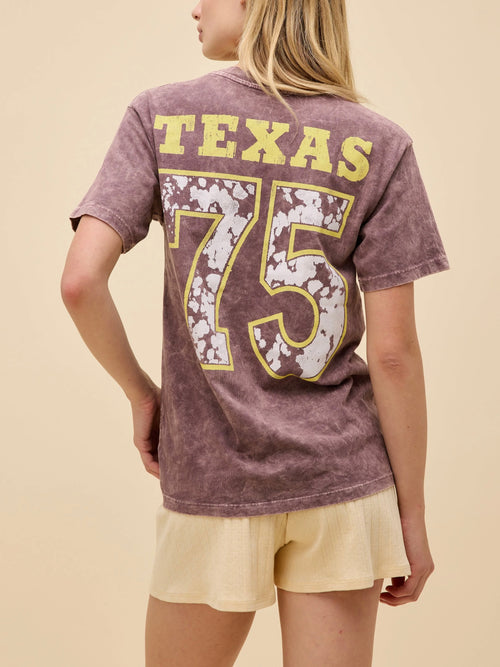Willie Nelson Red Headed Stranger Weekend Tee in Brown Stone Acid