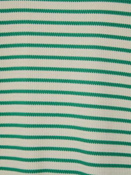 Cruisin' Through Stripe Top in Green & Cream