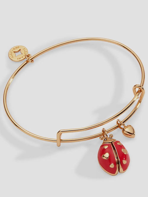 Make Your Own Luck Ladybug Charm Bangle