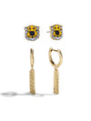 University of Missouri Earring Set