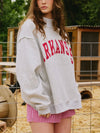 AR Reversible Sweatshirt in Grey