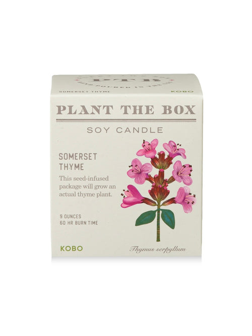 Plant The Box Candle in Somerset Thyme