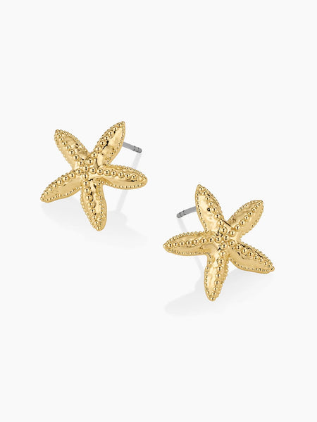 Starfish Statement Earrings