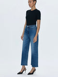 Lana Crop Jean in Palladium