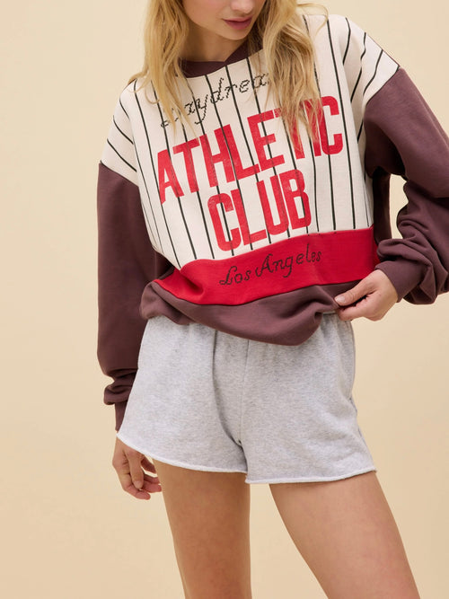 Daydreamer Athletic Club Colorblocked Sweatshirt in Brown Combo