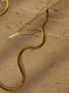 Cobra Glasses Chain