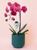 3-in-1 Moisture Meter in Lagoon