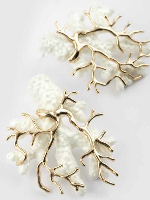 White Coral Earrings