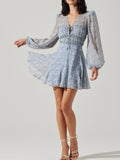 Dianthus Mini Dress in Blue Daisy