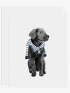 Preppy Black Lab Greeting Card