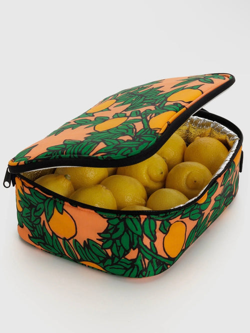 Lunch Box in Orange Tree Coral