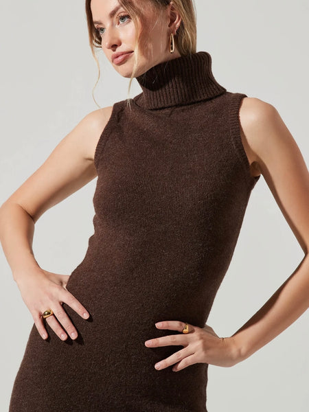 Irina Sweater Dress in Brown