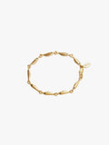 Sardine Link Bracelet in Vintage Gold