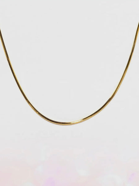 Monaco Snake Chain Necklace