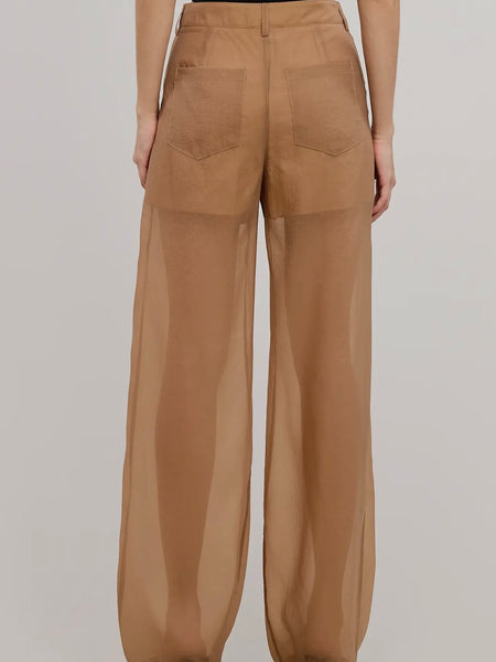 Sheer Intentions Pant in Taupe