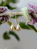 Courtenay Tulip Earrings