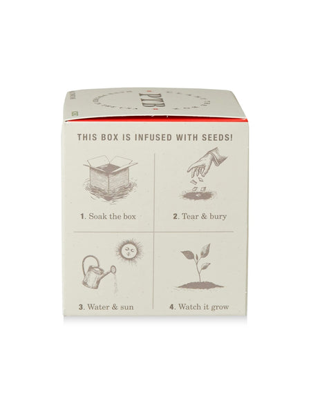 Plant The Box Candle in Wild Tomato Vine