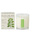 Plant The Box Candle in Fresh Picked Basil