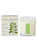 Plant The Box Candle in Fresh Picked Basil