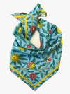 Summer Fruit Silk Bandana