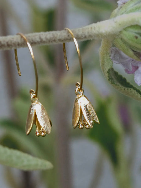 Courtenay Tulip Earrings