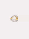 Bit Ring in Mixed Metals