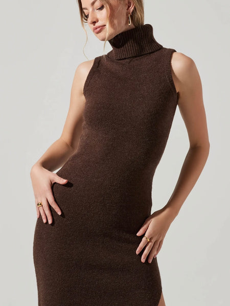 Irina Sweater Dress in Brown