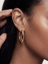 Tiger Solstice Hoops