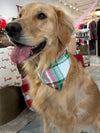 Flannel Dog Scarf in Evergreen