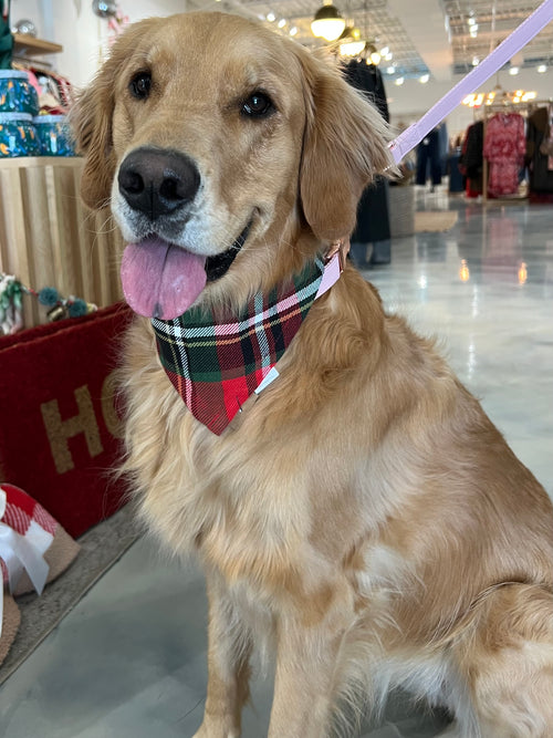 Flannel Dog Scarf in True Tartan