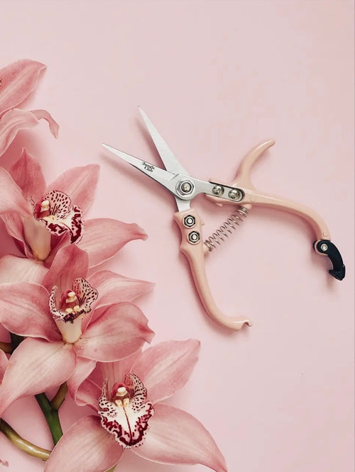 Pruning Shears in Pink
