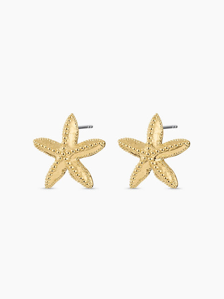Premium Caviar Studs