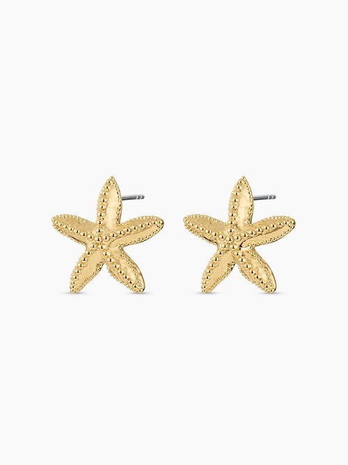 Starfish Statement Earrings